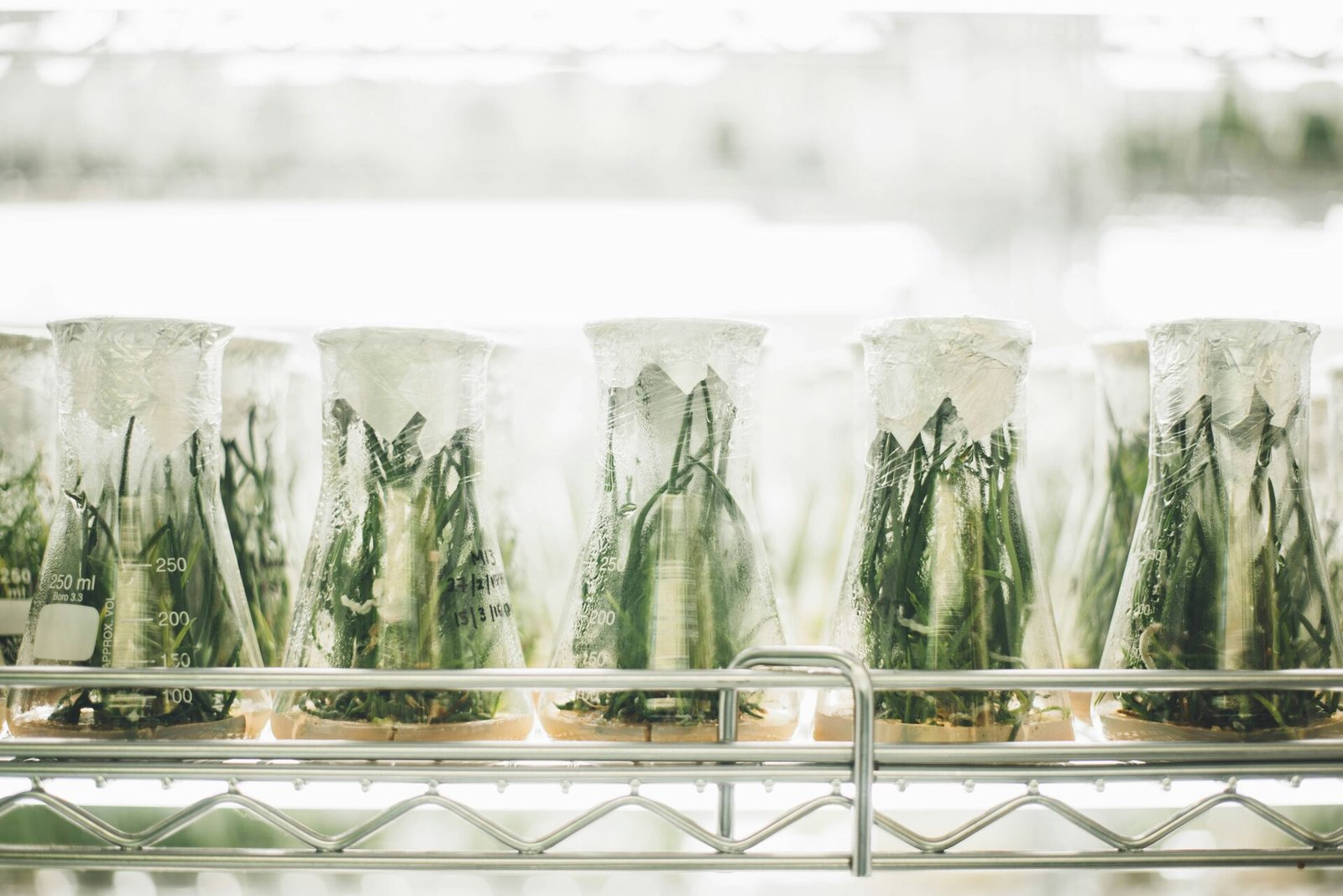 Horticulture research